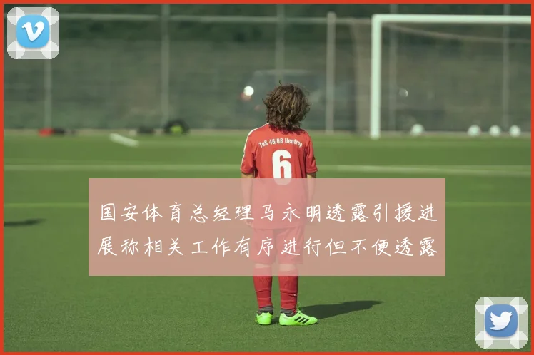国安体育总经理马永明透露引援进展称相关工作有序进行但不便透露名字