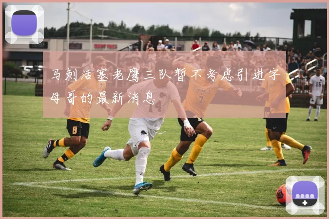 马刺活塞老鹰三队暂不考虑引进字母哥的最新消息
