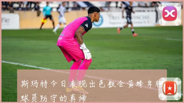 斯玛特今日表现出色教会黄蜂年轻球员防守的真谛