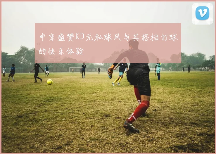 申京盛赞KD无私球风与其搭档打球的快乐体验