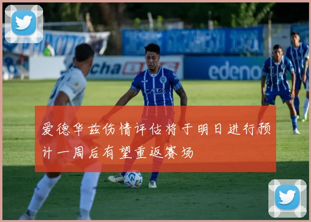 爱德华兹伤情评估将于明日进行预计一周后有望重返赛场